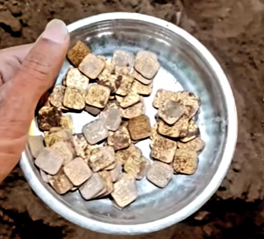 Found this haul of ancestral treasure in Gujarat, India