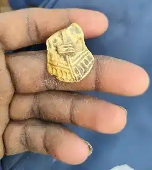 Treasure Trove: Minelab Manticore Uncovers Ancient Gold in Tamil Nadu
