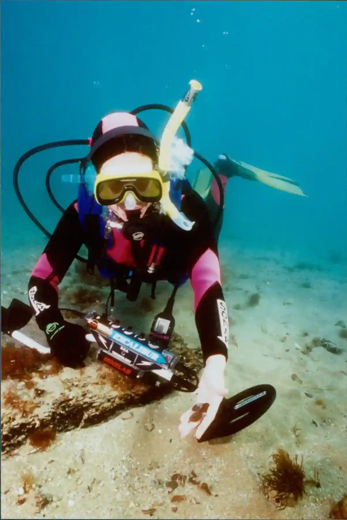 Excalibur 800 Underwater